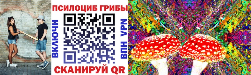 купить цена Анадырь Псилоцибиновые грибы Cubensis
